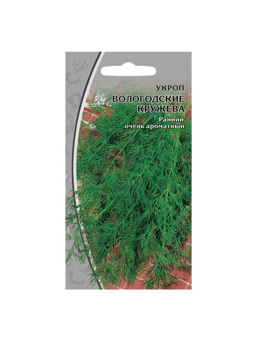 Укроп Лесногородский Аэлита