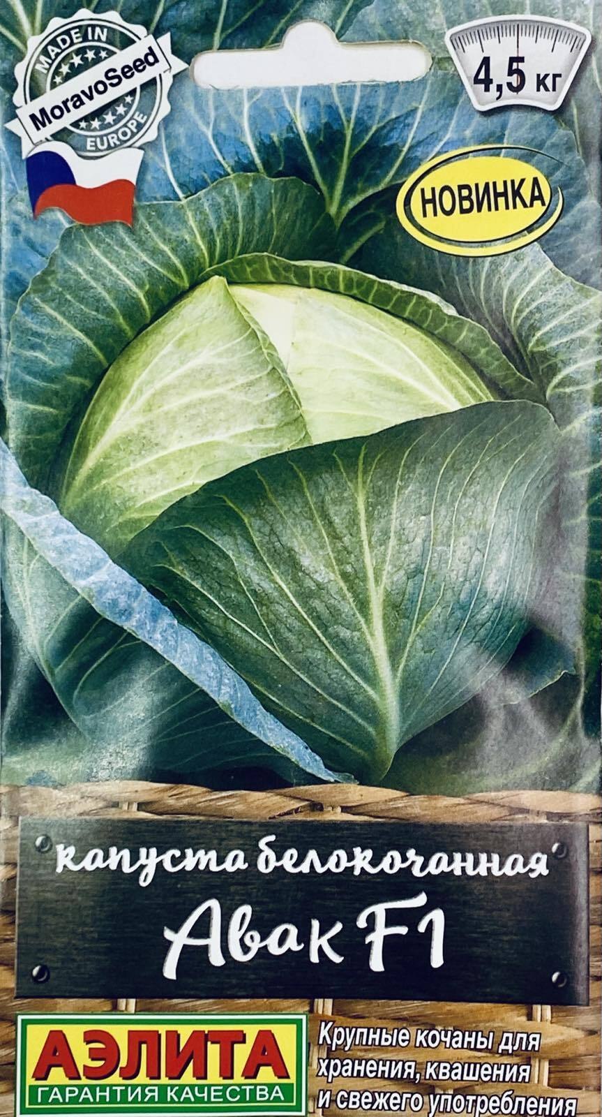 Определите вид капустных овощей