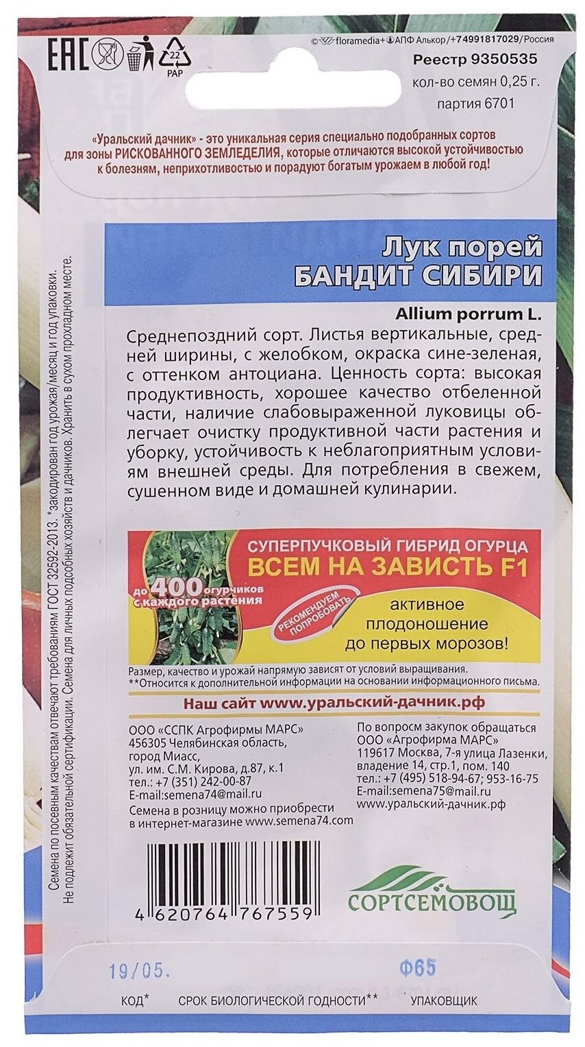 Лук порей бандит