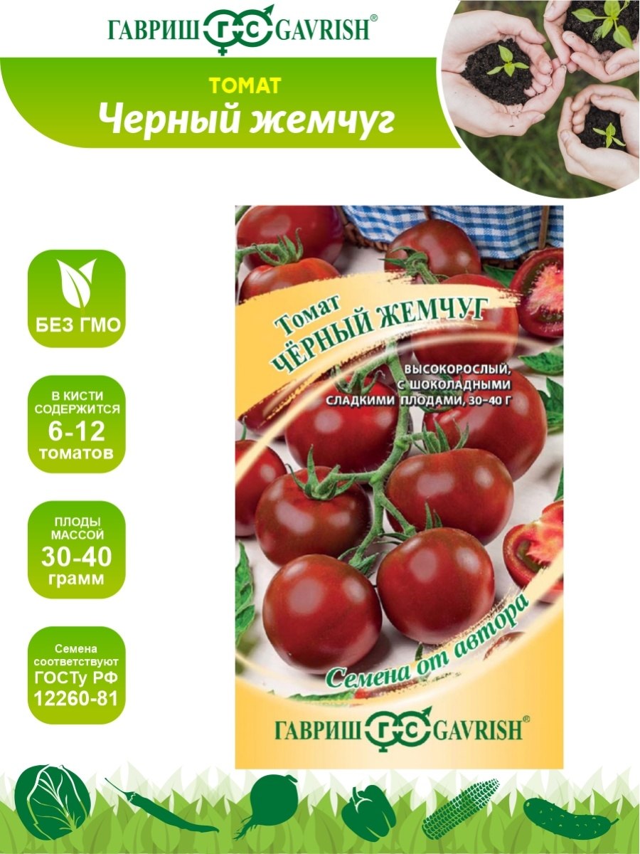 Томат черная Жемчужина черри