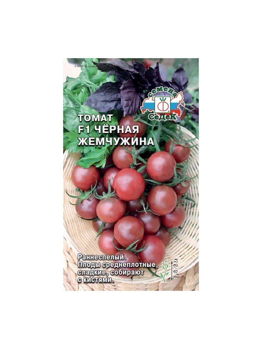 Томат черная магия