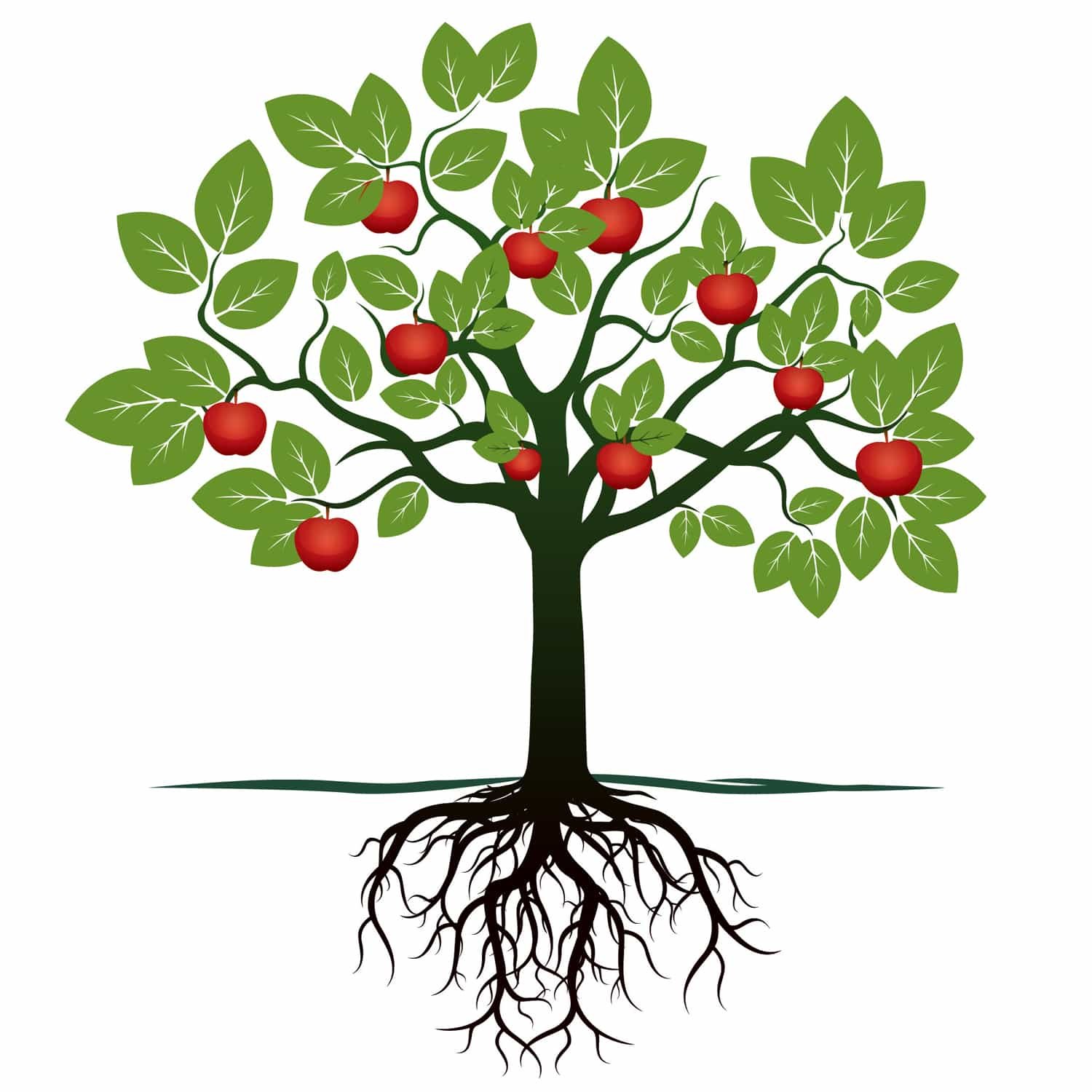 Яблоня дерево символ. Дерево с корнями и плодами. Яблоня части растения. Корни яблони. Дерево яблоня вектор.