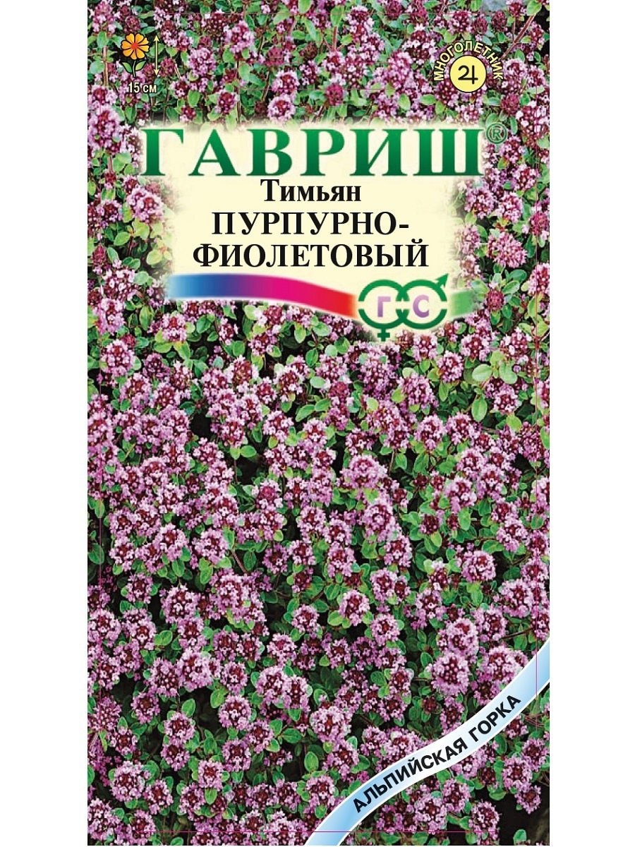 Тимьян медок