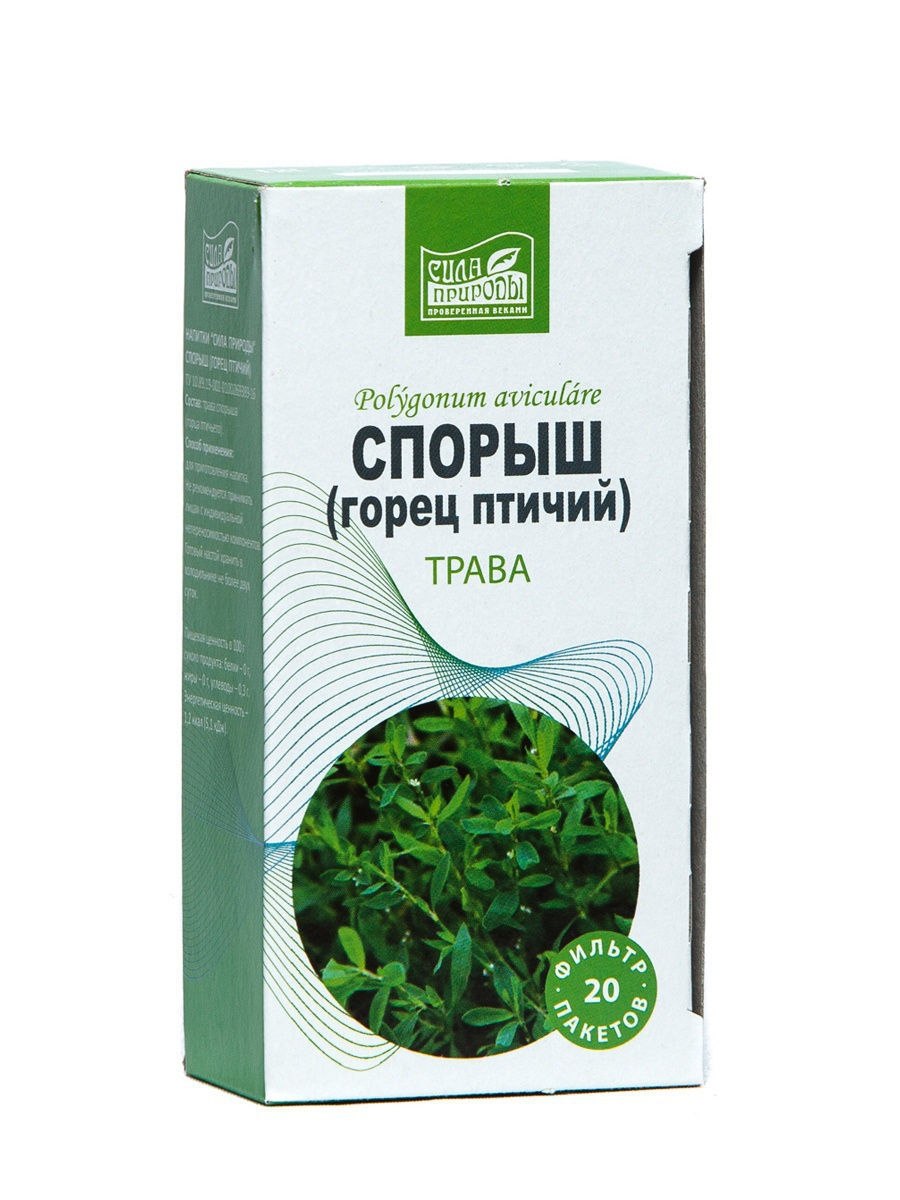 Горец птичий вместо газона