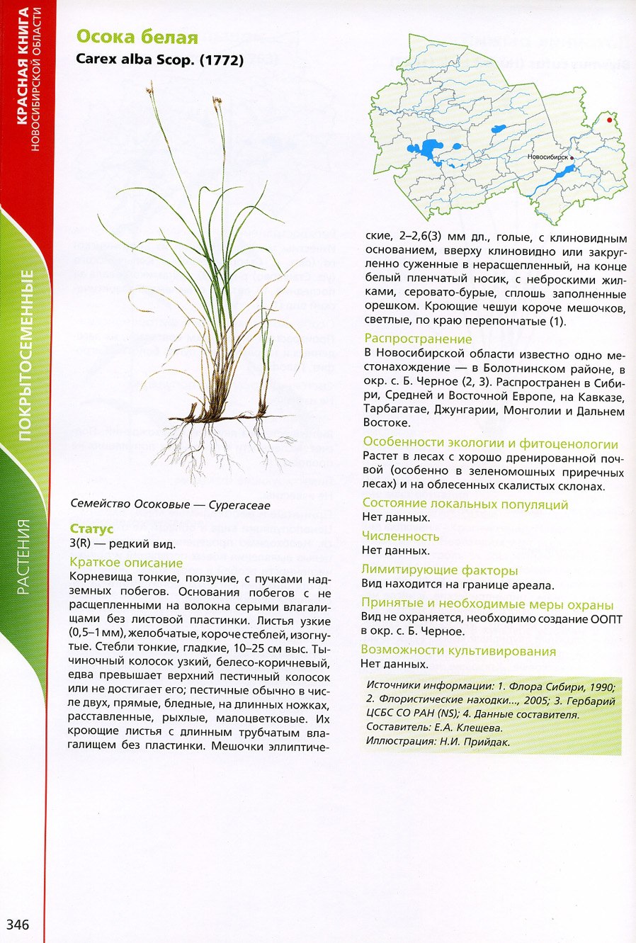 Осока болотолюбивая