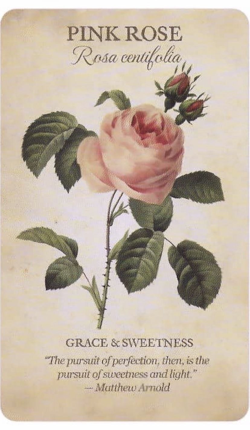 Названия цветов на английском