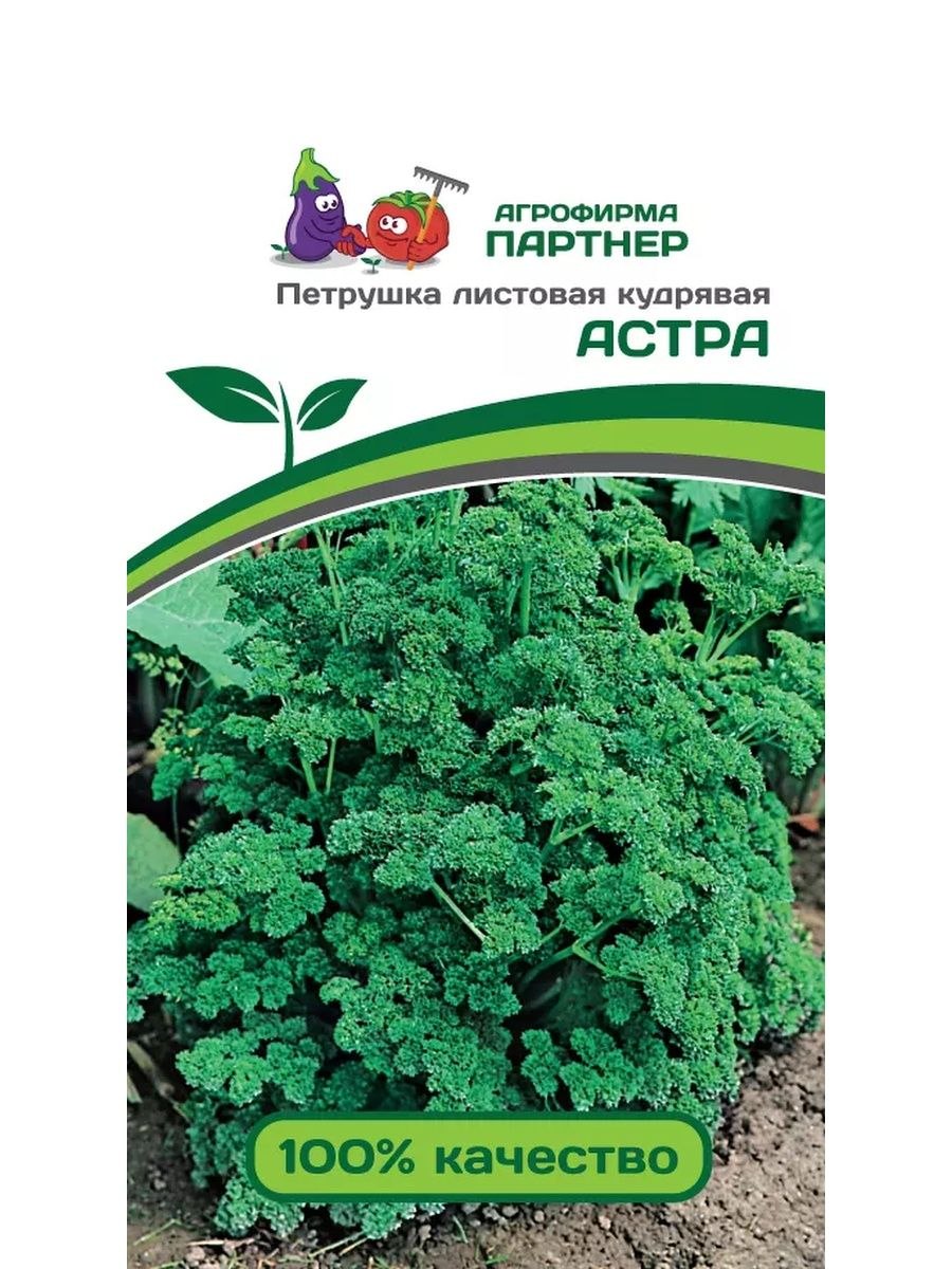 Зеленая петрушка и волосы