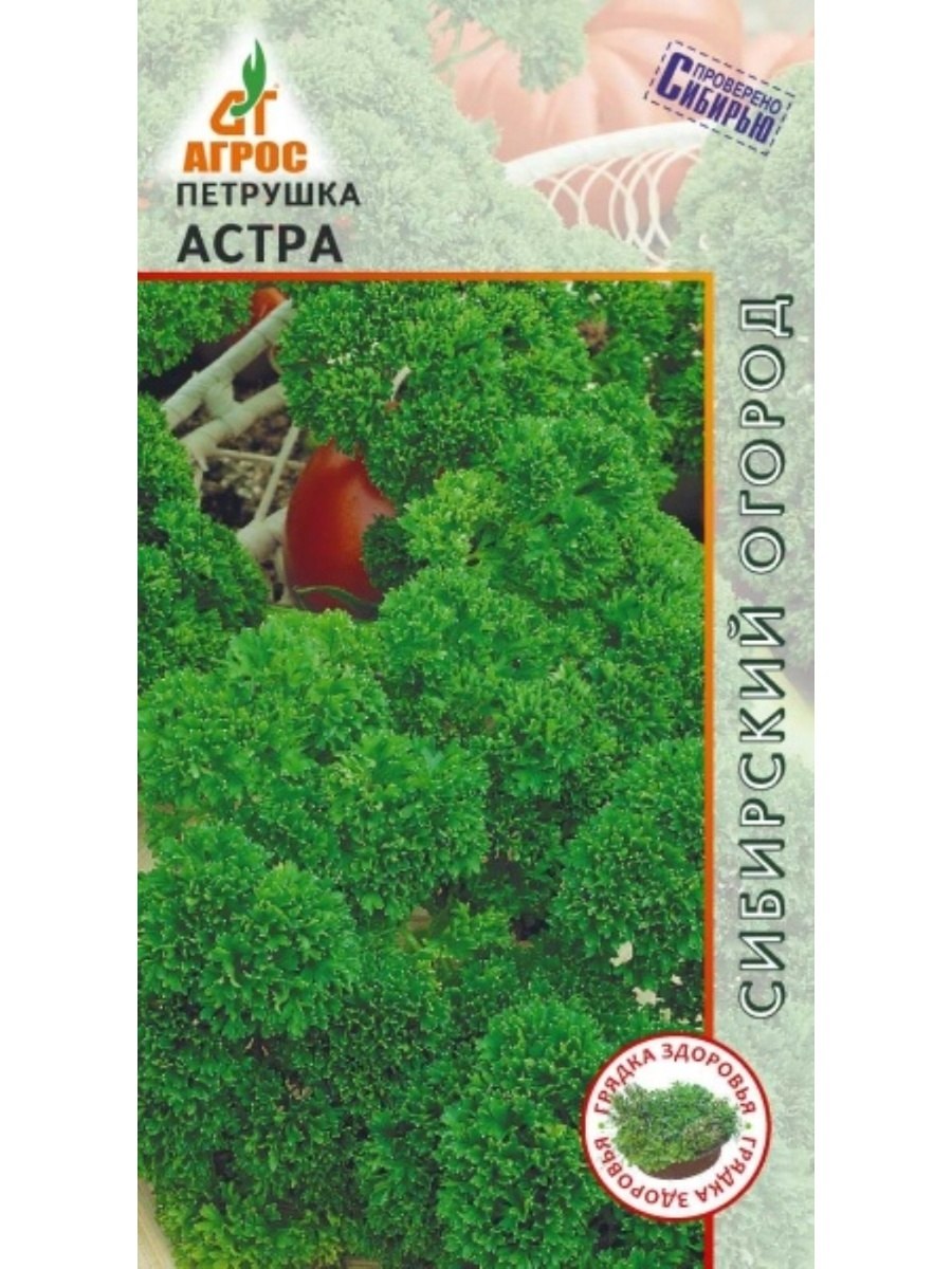 Трипсы на бархатцах