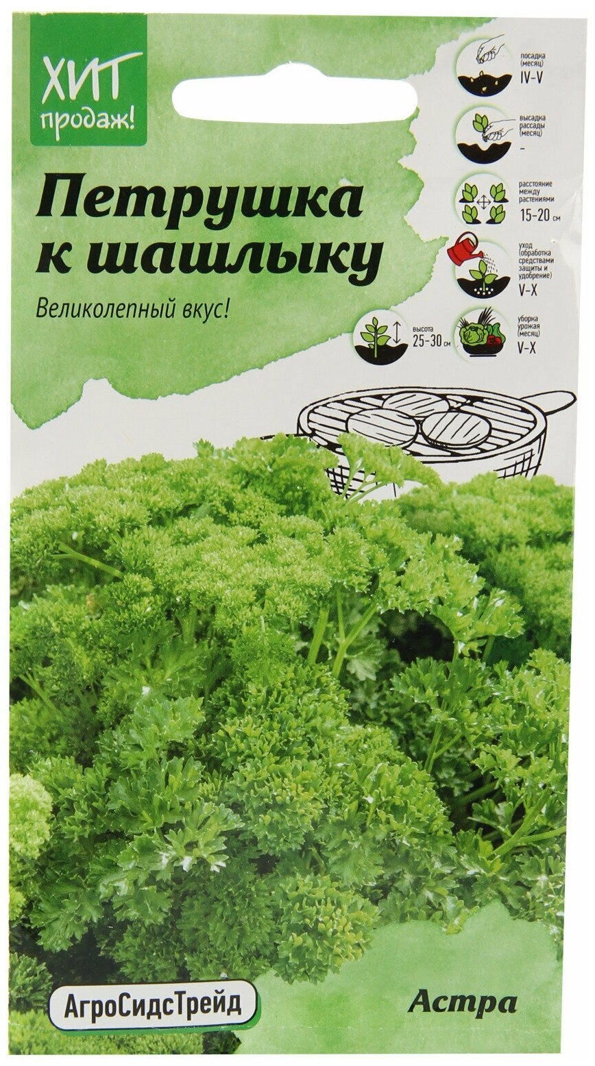Сорт петрушки Астра