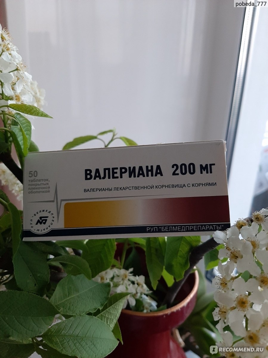 Валериана экстракт 20 мг 50 таб