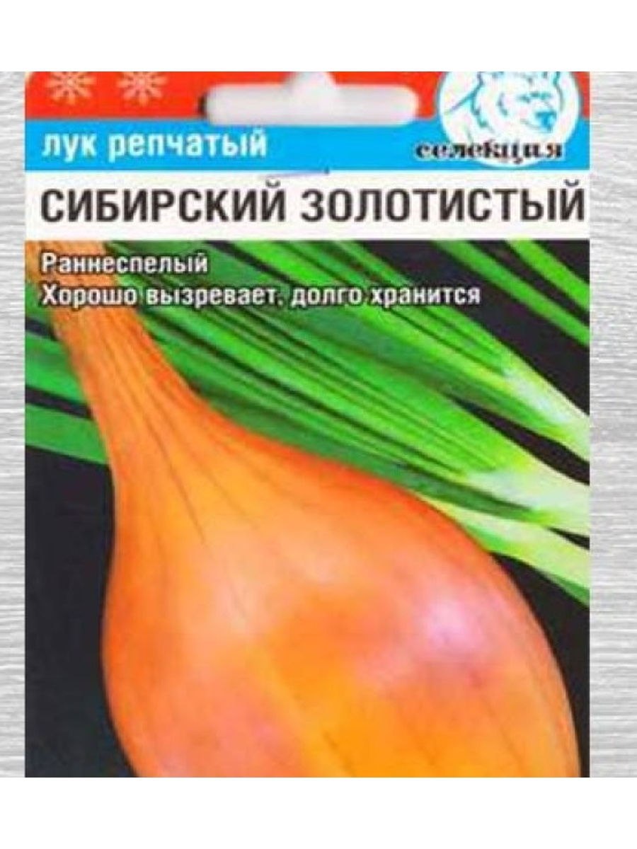 Лук репчатый в магазине