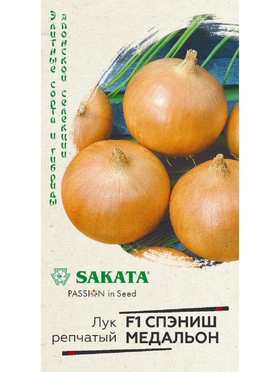 Лук репчатый Стригуновский местный