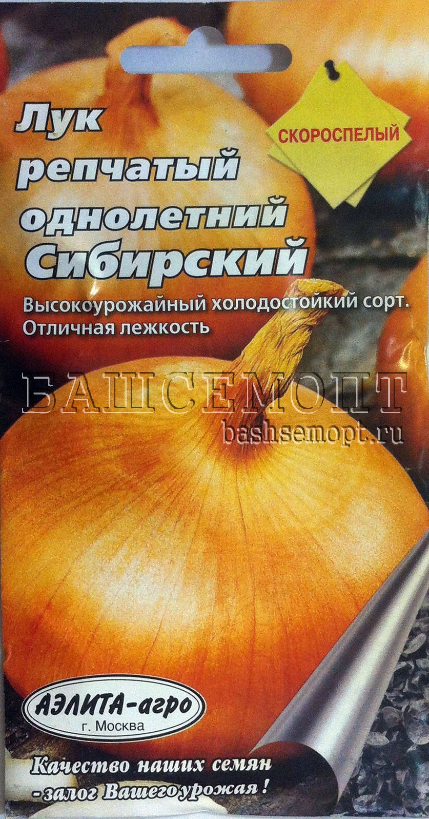 Лук севок Сибирский однолетний