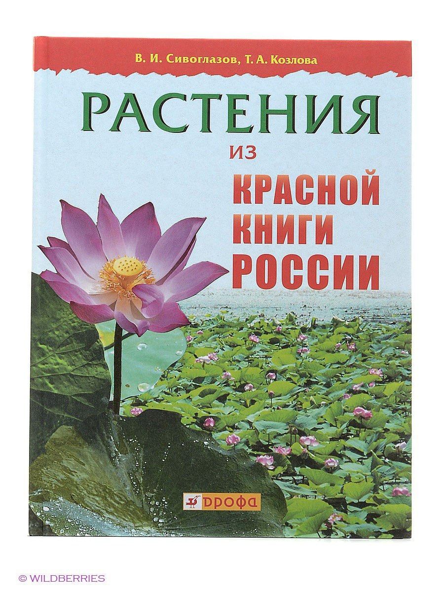 раст красной книги фото 93