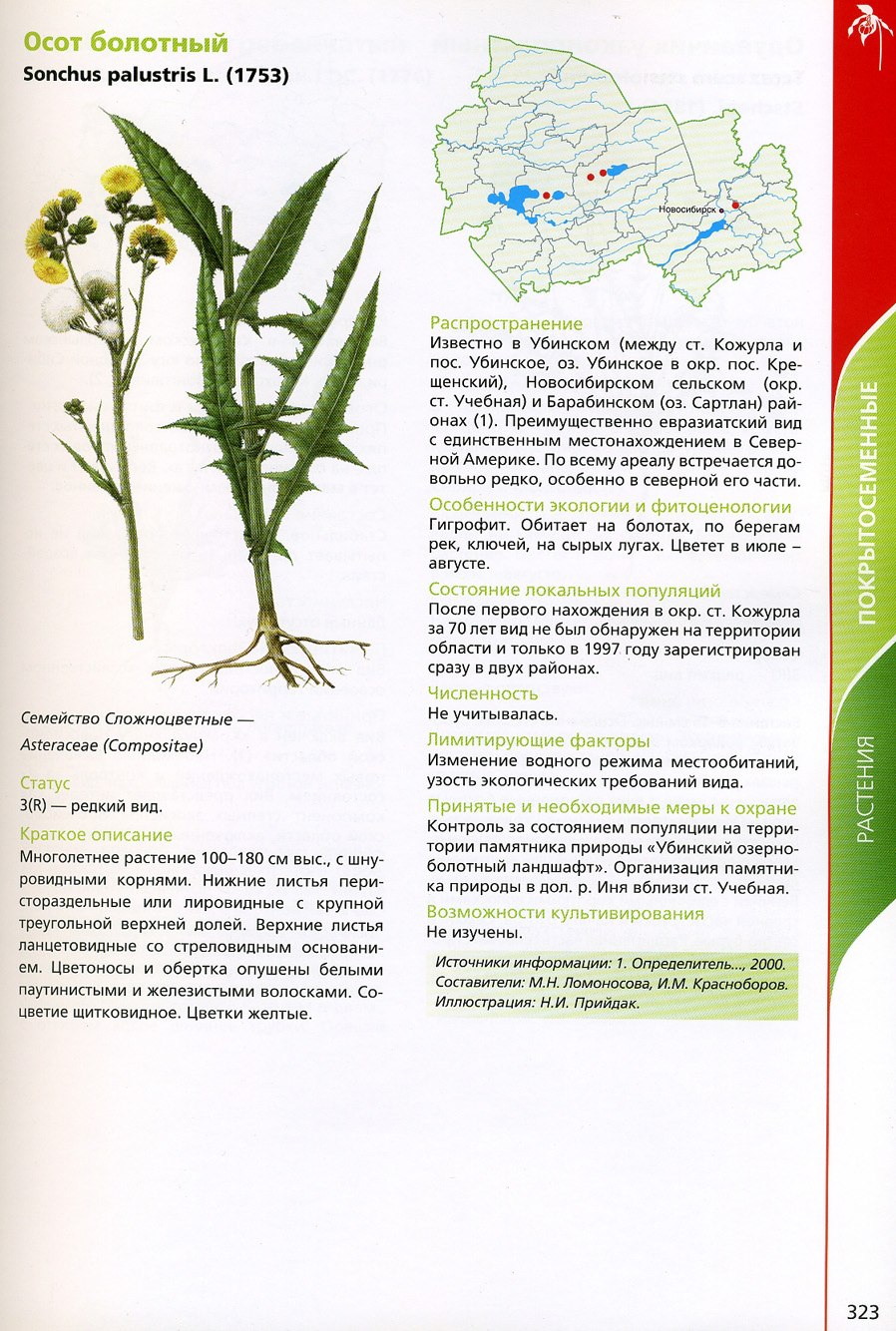 Цветы красной книги России