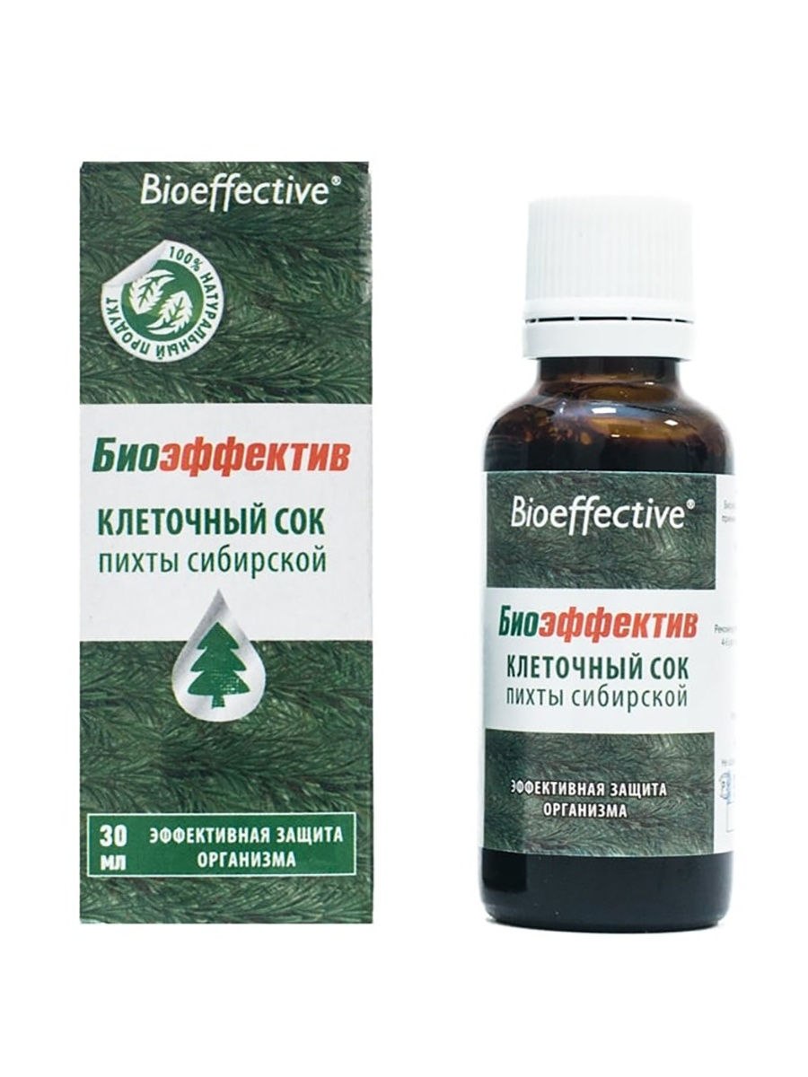 Пихта Сибирская