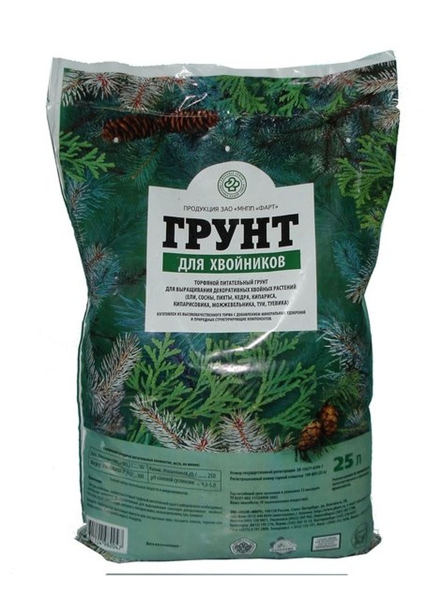 Селагинелла мартенси Йори