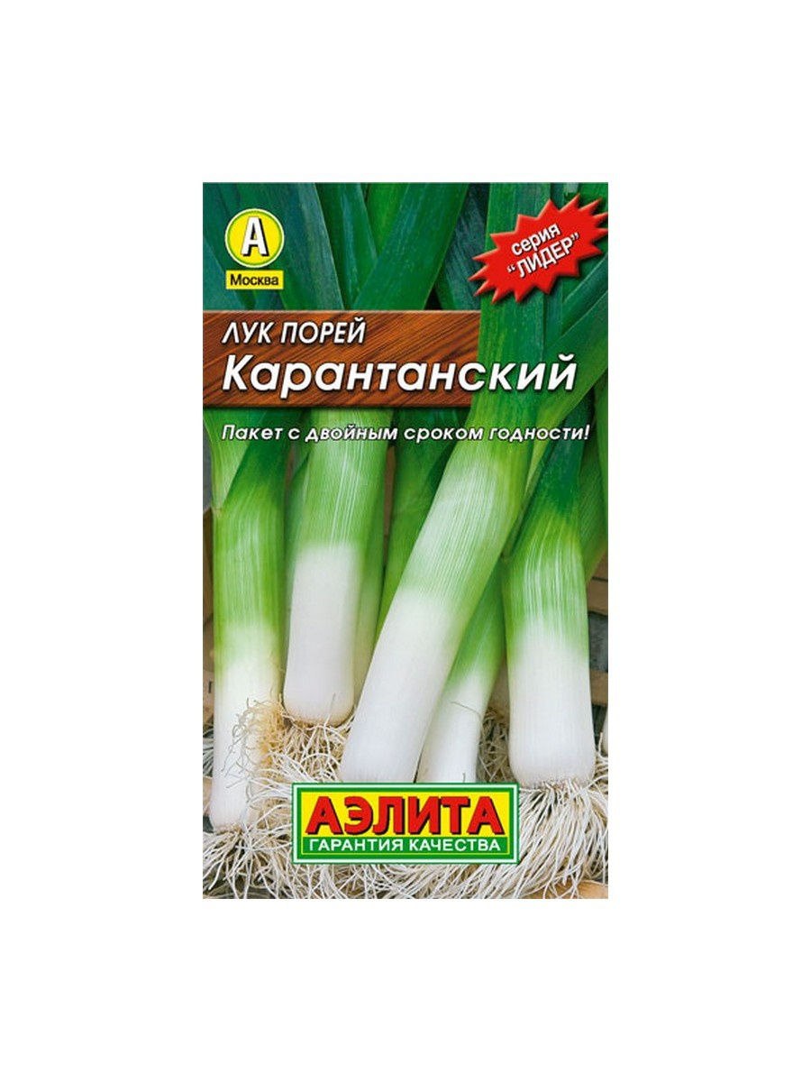 Лук порей Элефант МС
