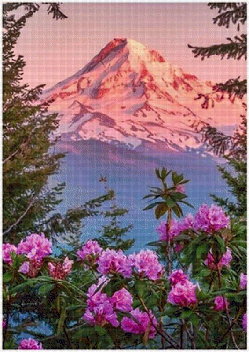 Рододендрон дикий