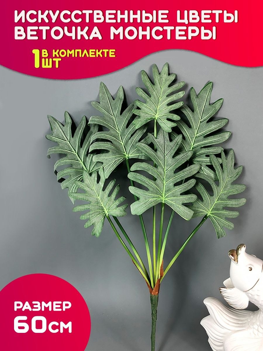 Эпипремнум 'Janda Bolong'