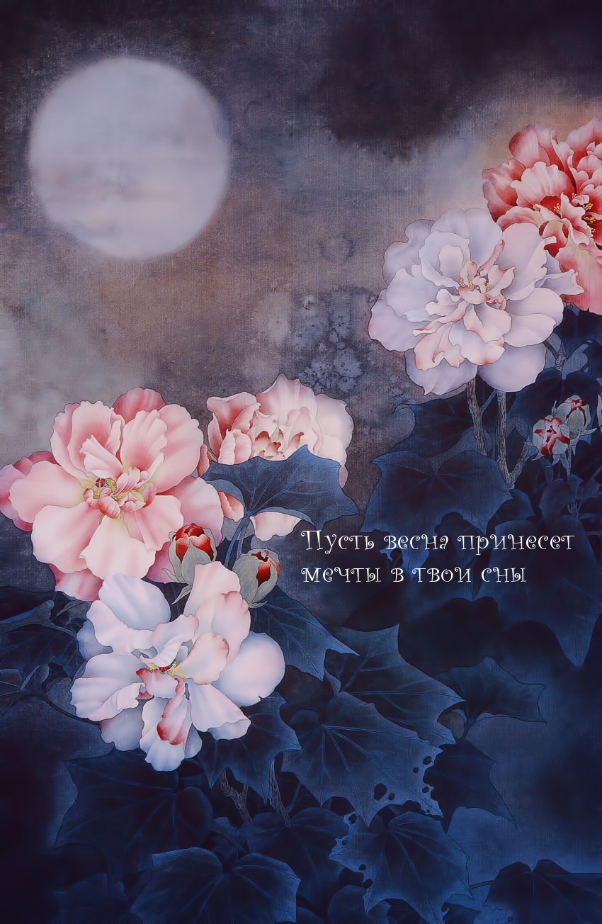 Пионы немахровые сорта