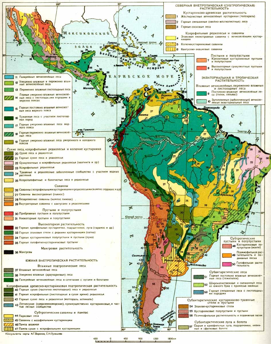 Карта растительности южной америки