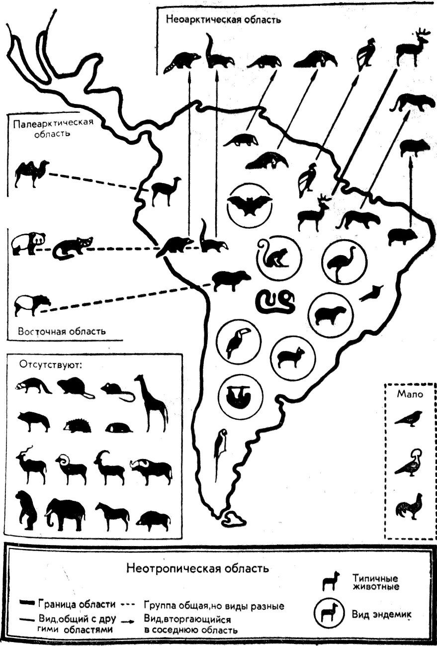 Фаунистическое районирование суши карта