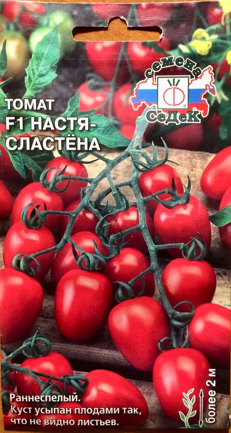 Томат Саша f1 черри Уральский Дачник