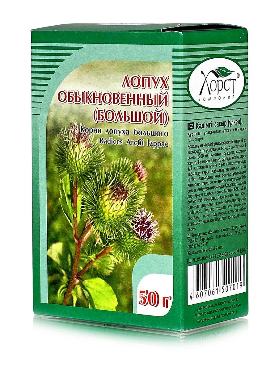 Лопух большой Arctium Lappa