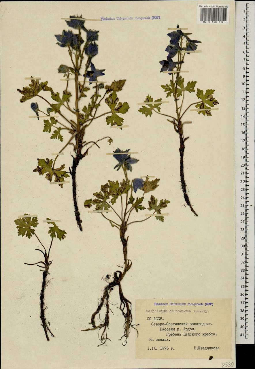 Бигуди BABYLISS Pro babts6gse