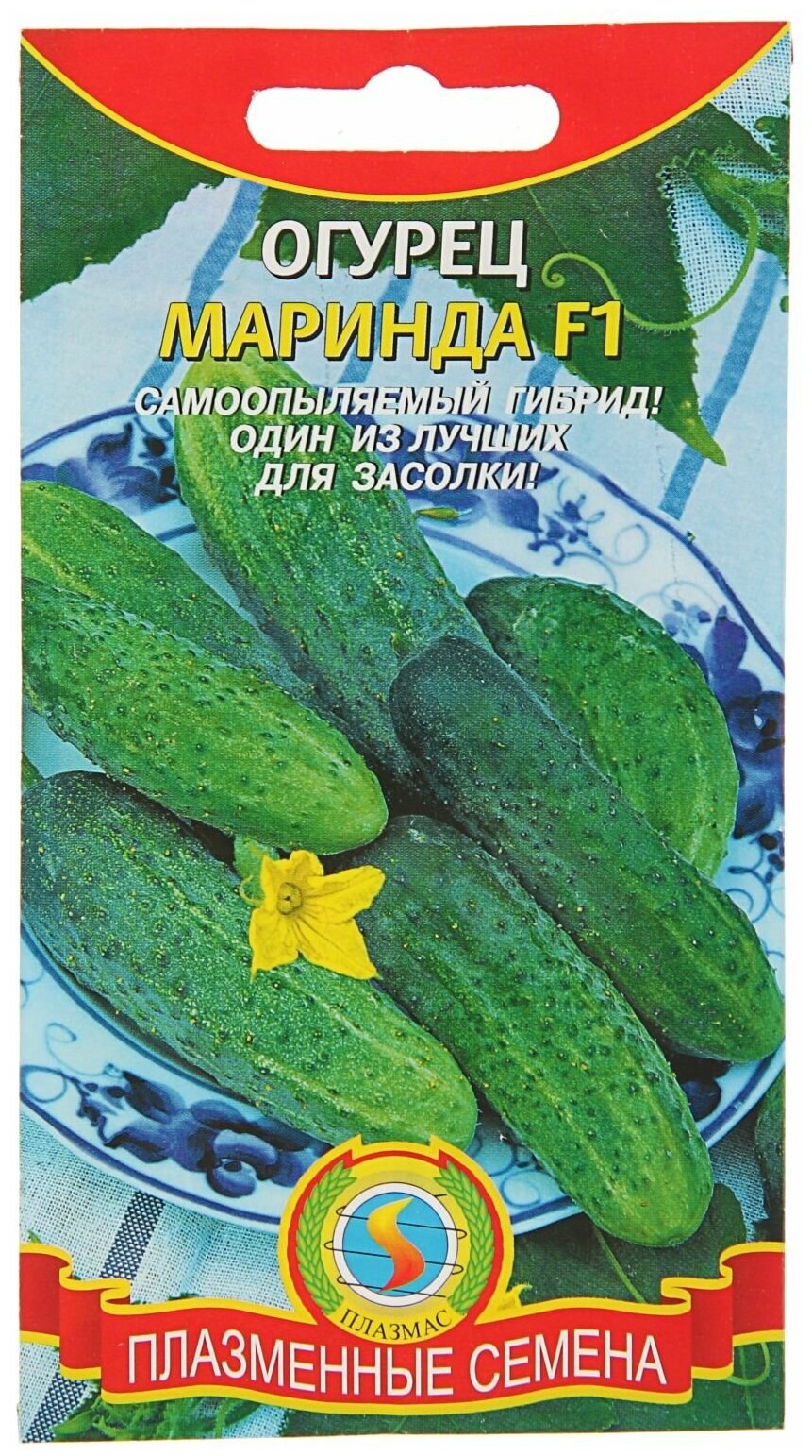 Семена огурцов Маринда