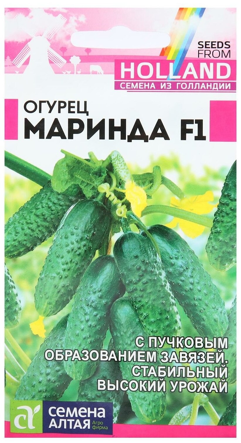 Огурец Маринда f1 8шт ТИМПИТ