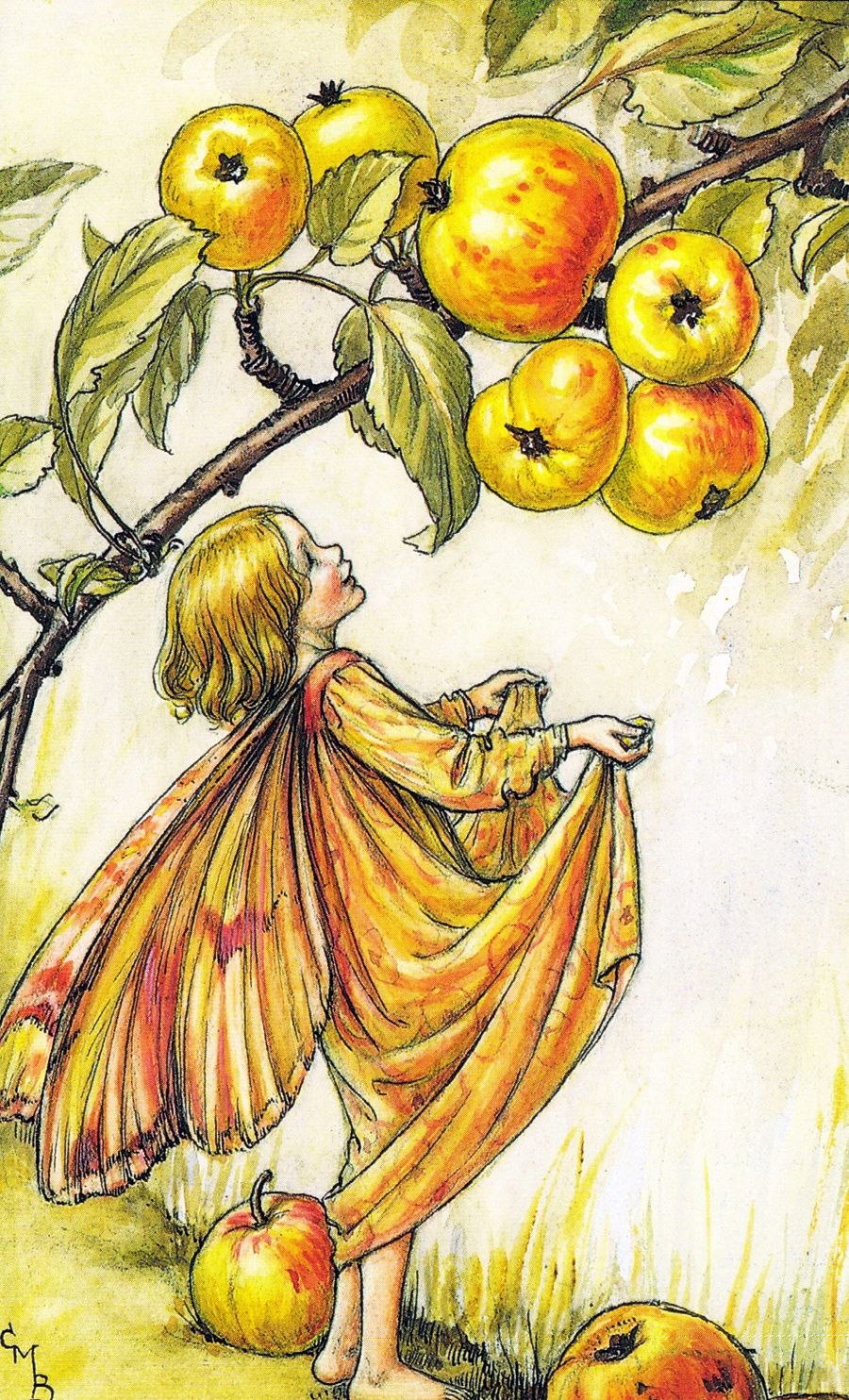 Яблоня Лесная (дичок)