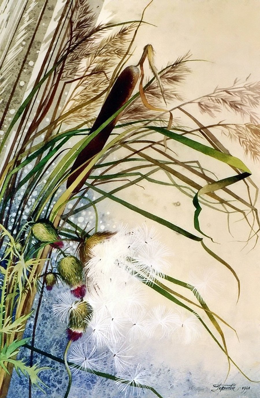 Хвощ тростниковый бамбук