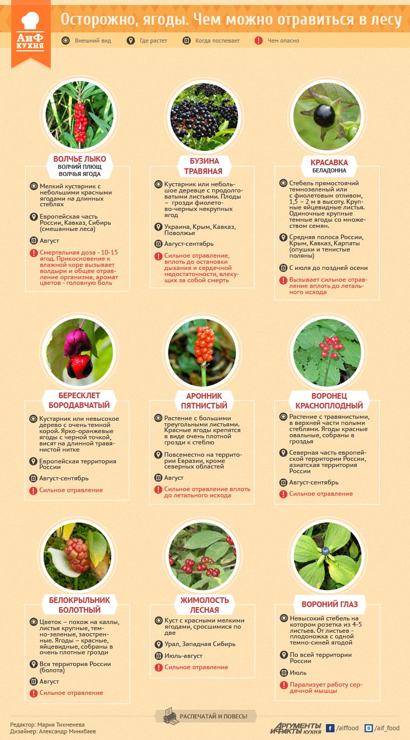 Съндобные и не сьедобные грибы и яглды