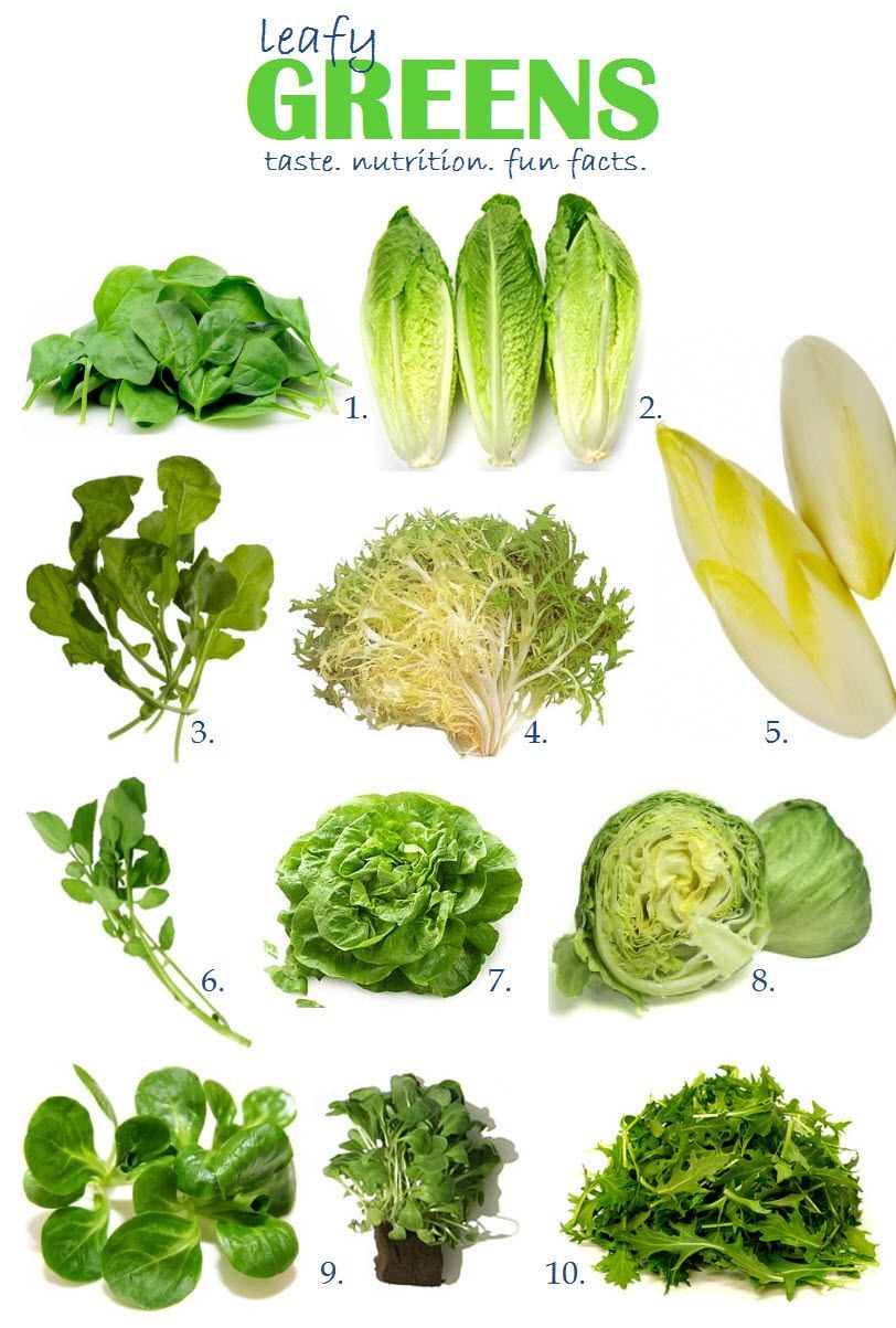 Название трав приправ с картинками