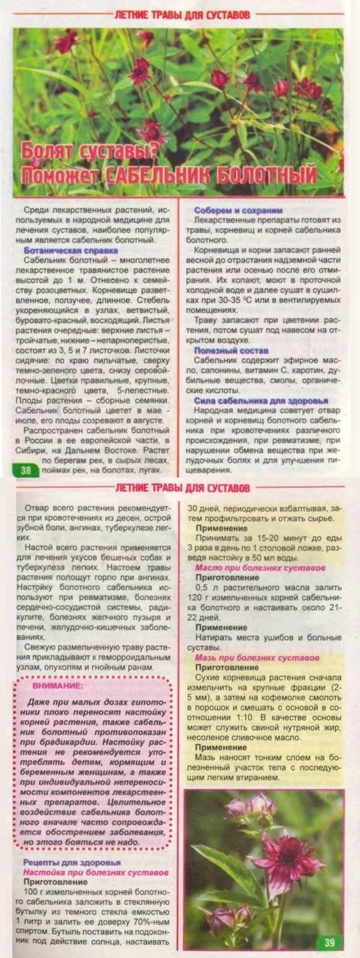 Сабельник трава инструкция по применению цена