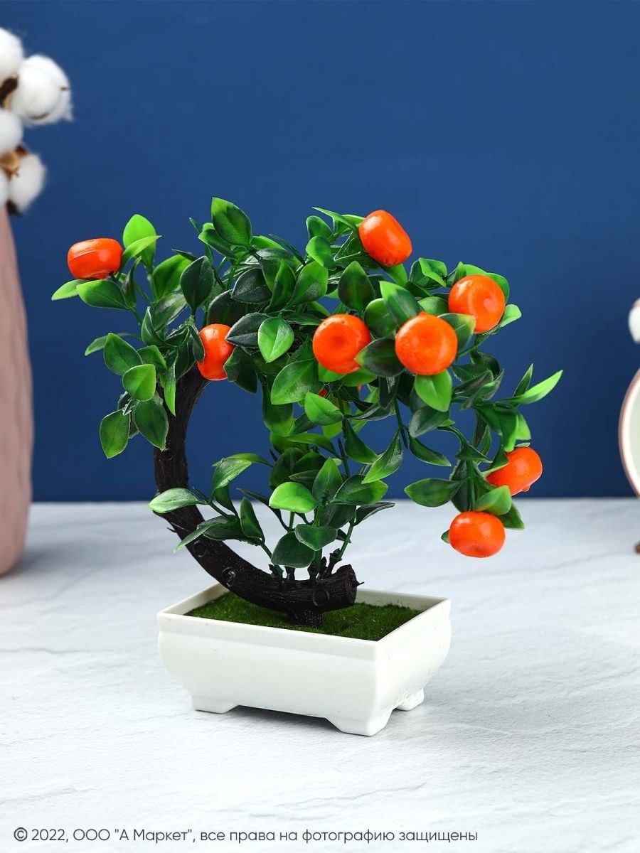 Мушмула бонсай