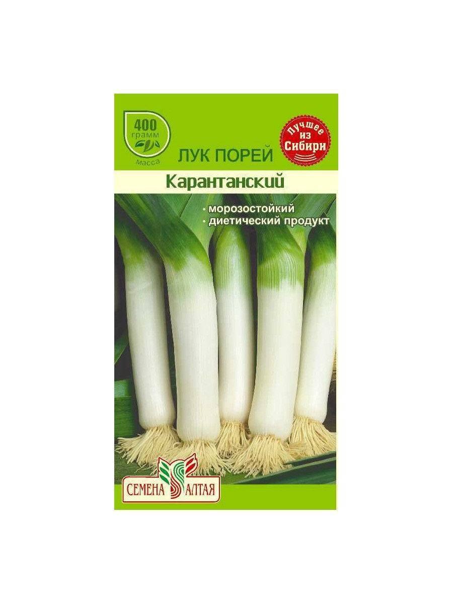 Лук порей Элефант описание