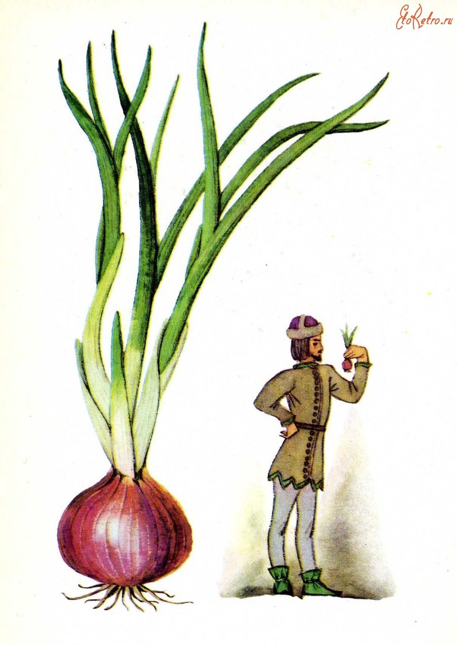 Кот с луком