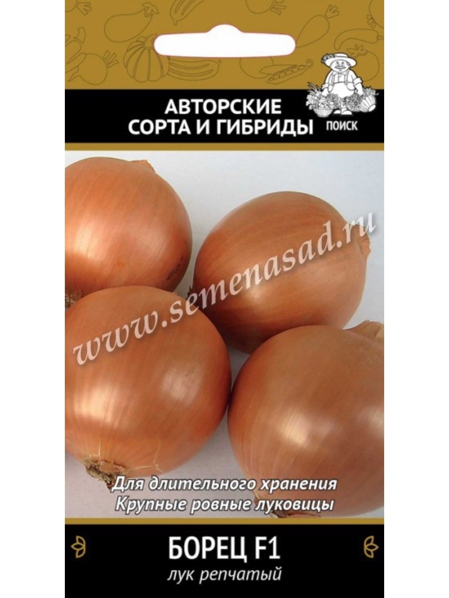Лук репчатый Дайтона f1