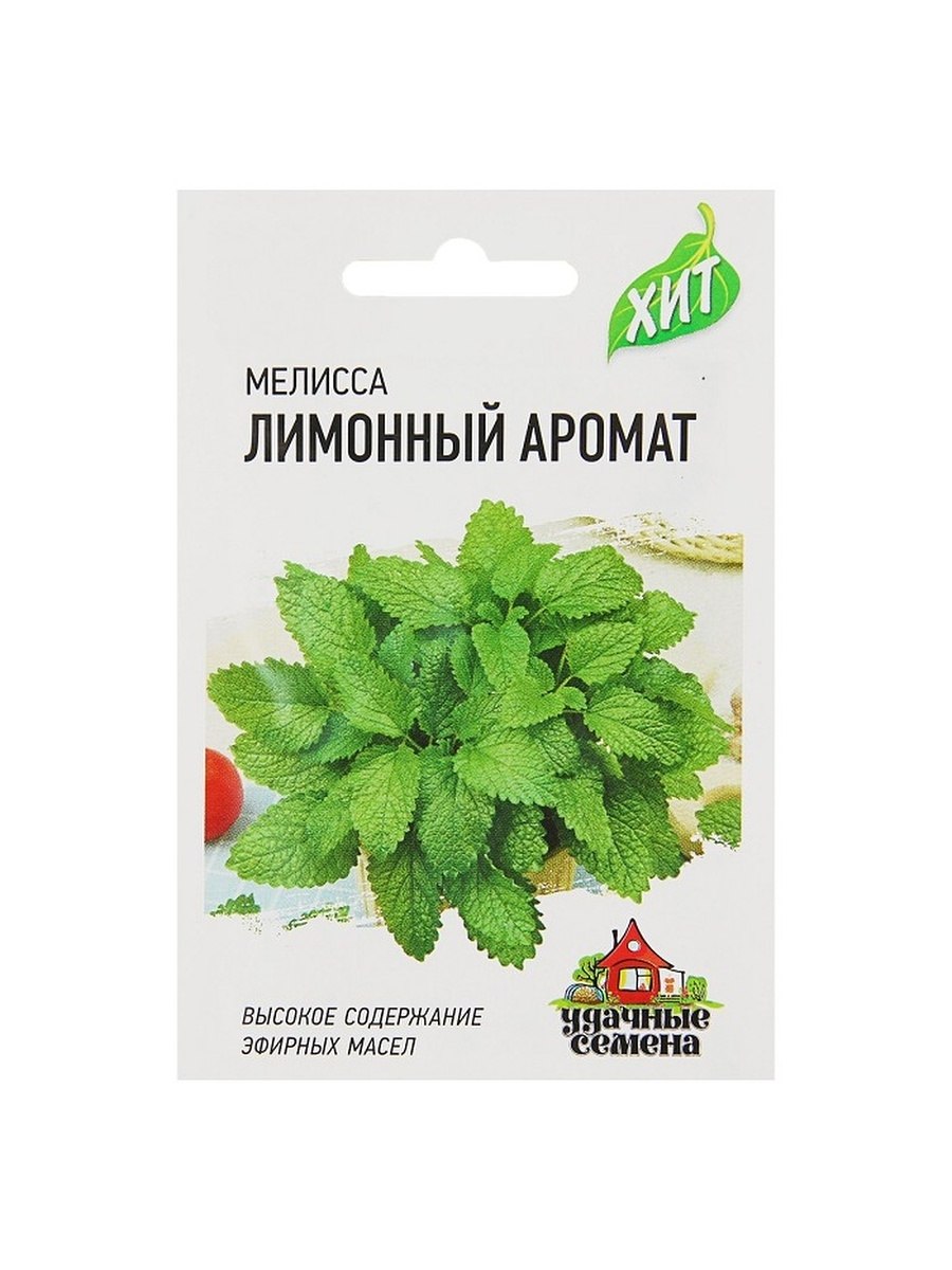 Мелисса лекарственная тип плода
