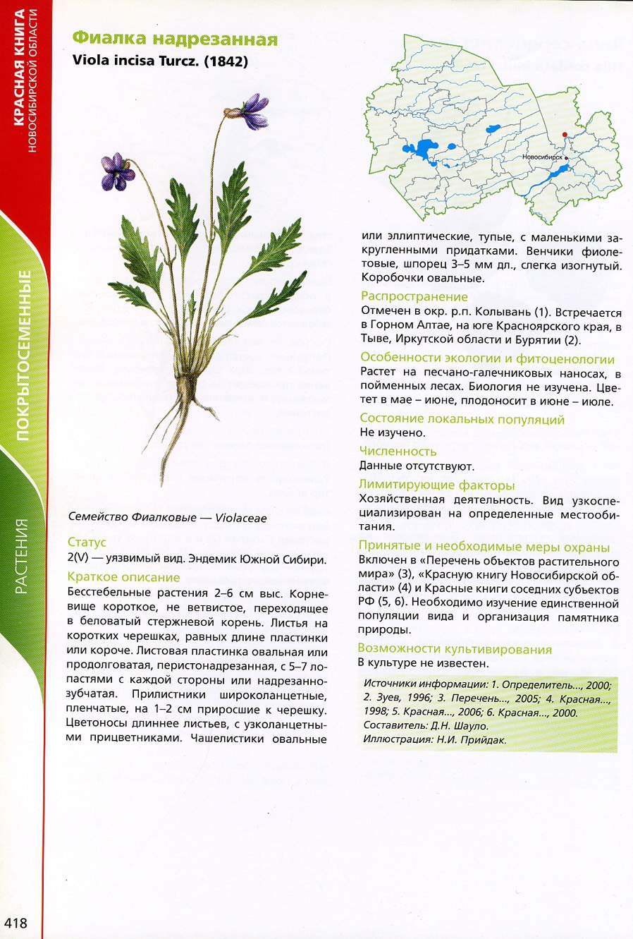 Раннецветущие растения степи