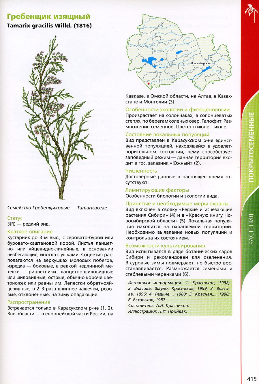 Формула цветка лотоса орехоносного