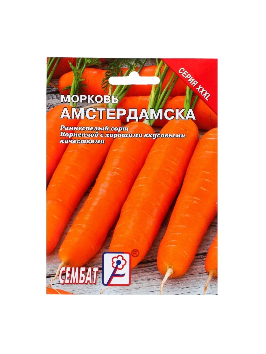 Гавриш морковь Амстердамска
