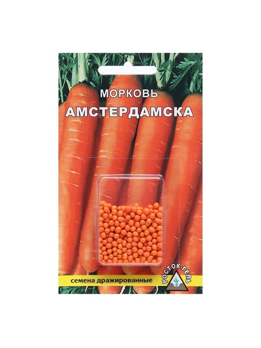 Морковь Амстердамска русский огород