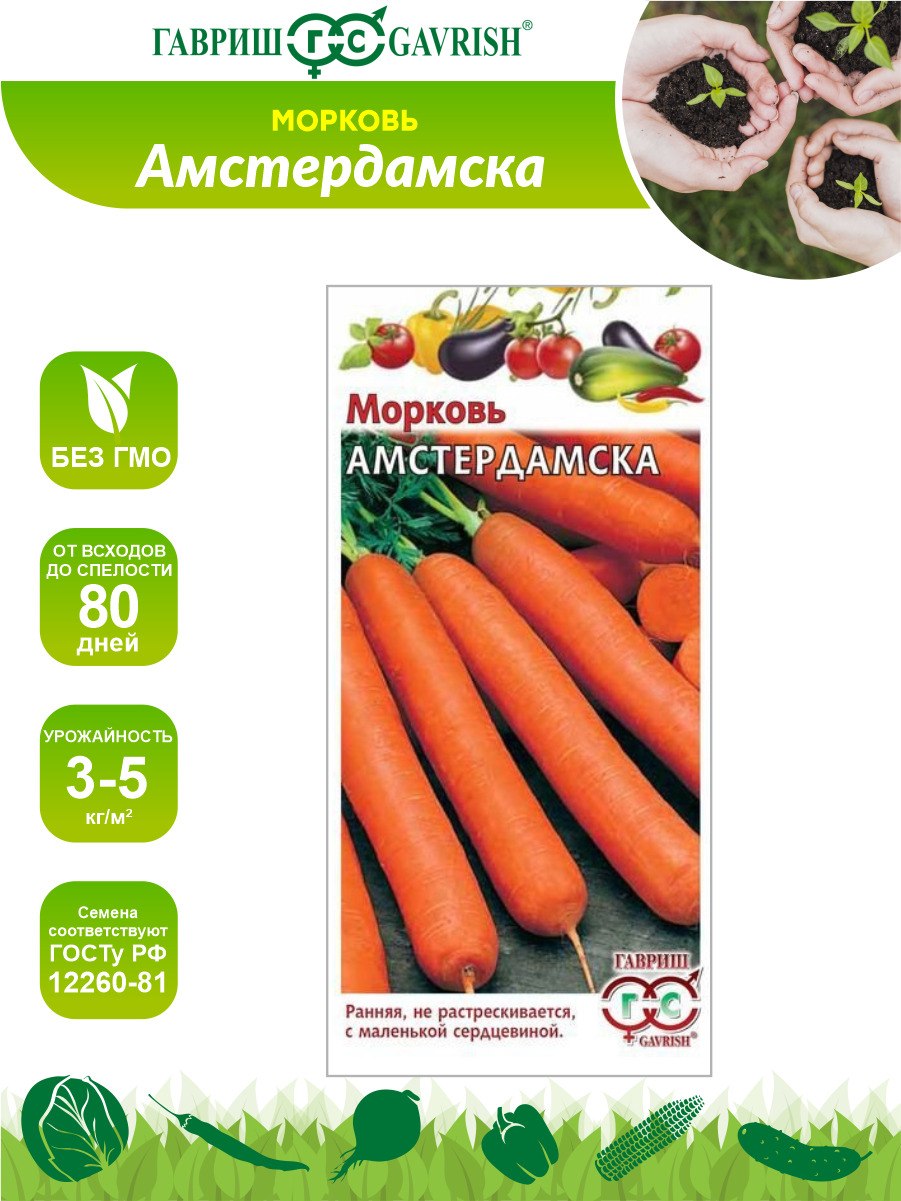 Морковь Амстердамска евро-семена