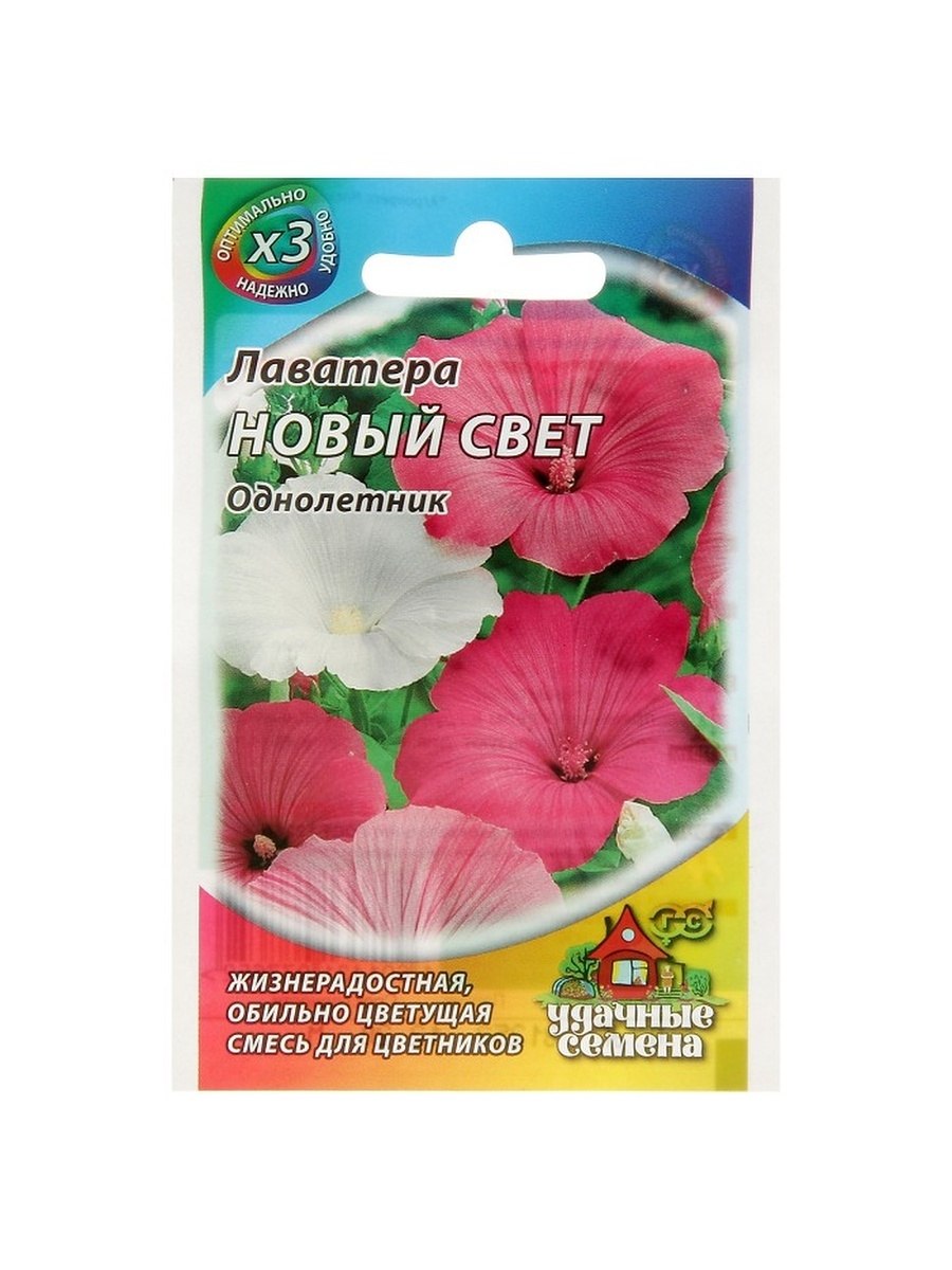 Лаватера гигантская чаша