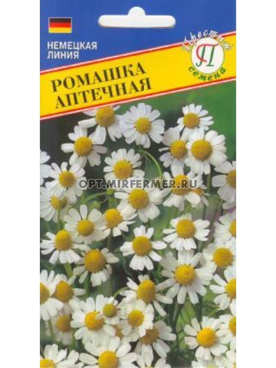 Ромашка аптечная Романов цвет
