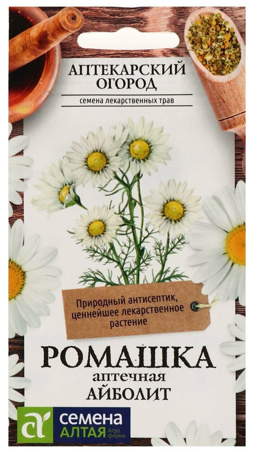 Ромашка аптечная старый лекарь